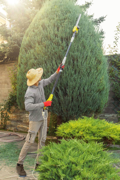 Best Lawn Watering Services  in Lebanon South, PA